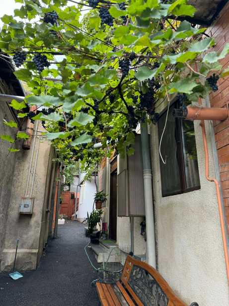 Квартира с 3 спальнями в Tbilisi — 4