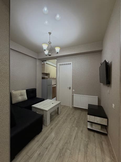 1-bedroom apartment in Вазисубани