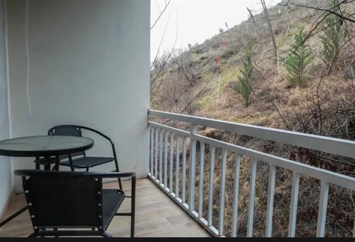 Квартира с 1 спальней в Tbilisi — 2