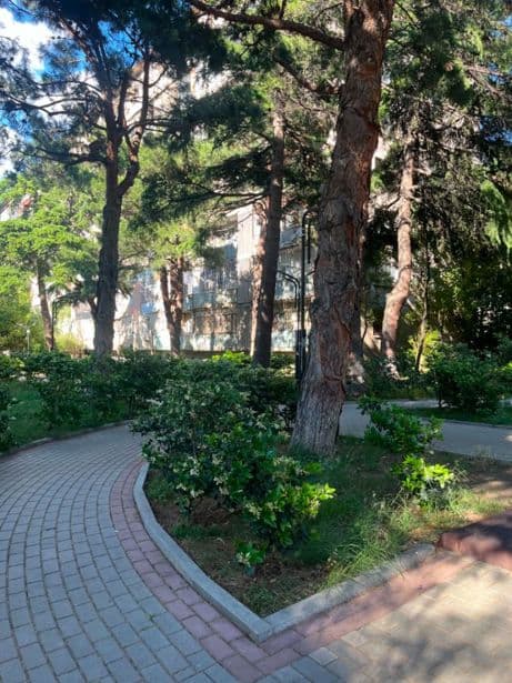 Квартира с 1 спальней в Tbilisi — 15