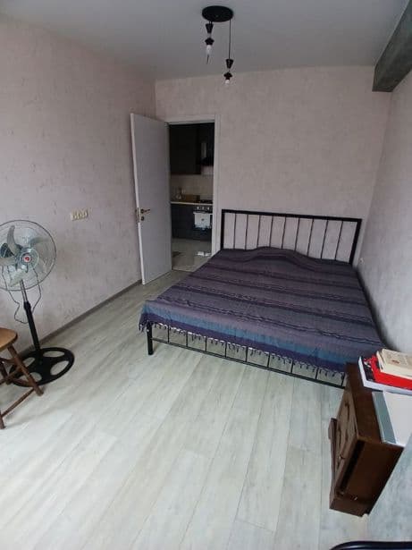 Квартира с 1 спальней в Tbilisi — 4