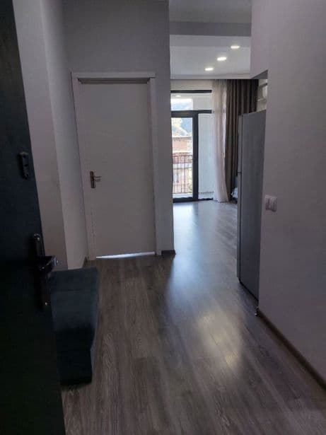 Квартира с 1 спальней в Tbilisi — 4