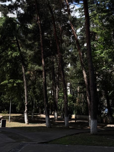 Квартира с 1 спальней в Ваке — 5