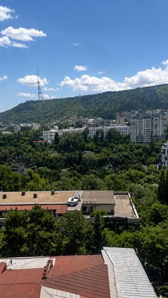 Квартира с 1 спальней в Сабуртало — 10