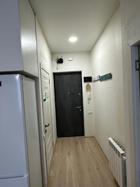 1-bedroom apartment in Диди Дигоми — 4