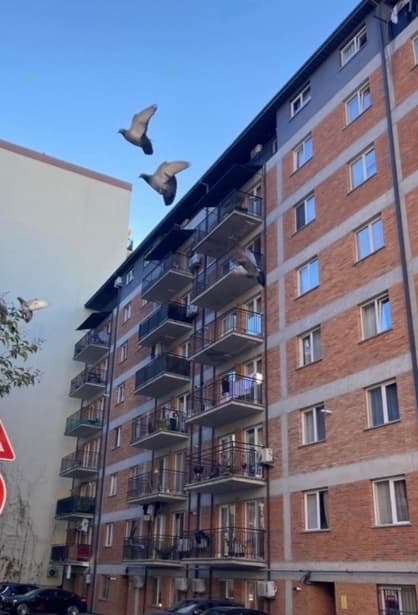 Квартира с 2 спальнями в Дидубе — 5