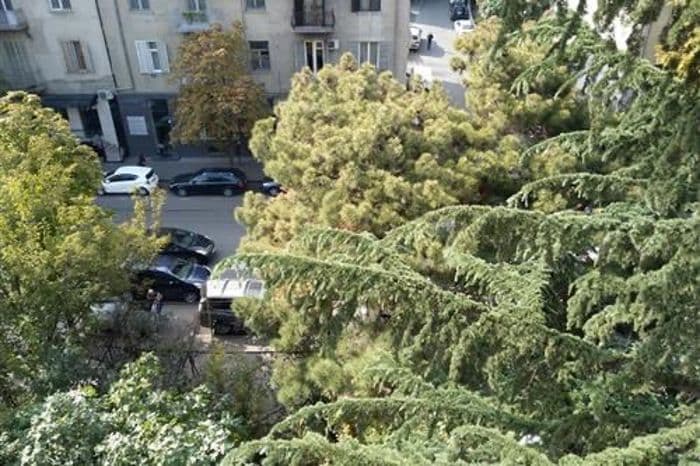 Квартира с 1 спальней в Сабуртало — 12