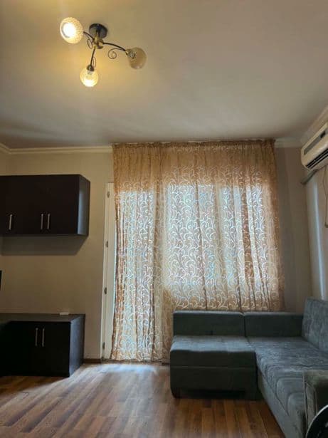 Квартира с 1 спальней в Чугурети — 5